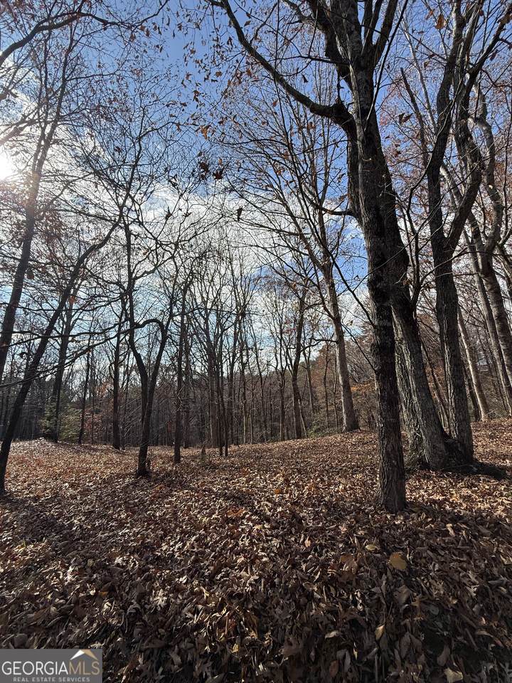 0 Orchard Road - Photo 1