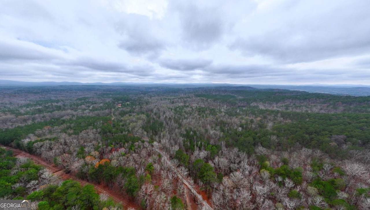 0 Cheaha Road - Photo 1