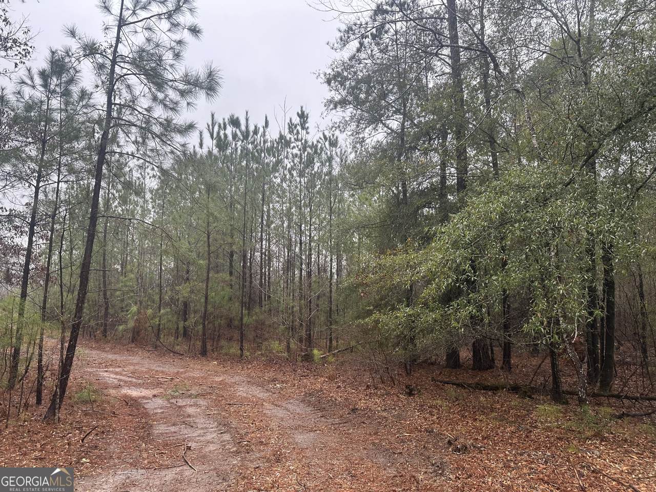12.35 +/- AC White Road - Photo 1