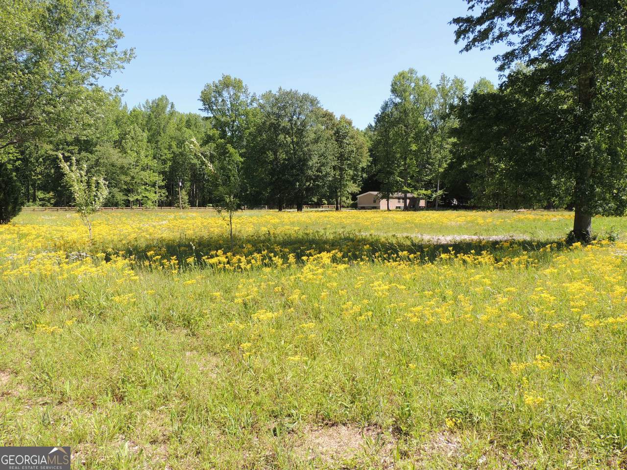 209 Horton Road - Photo 1