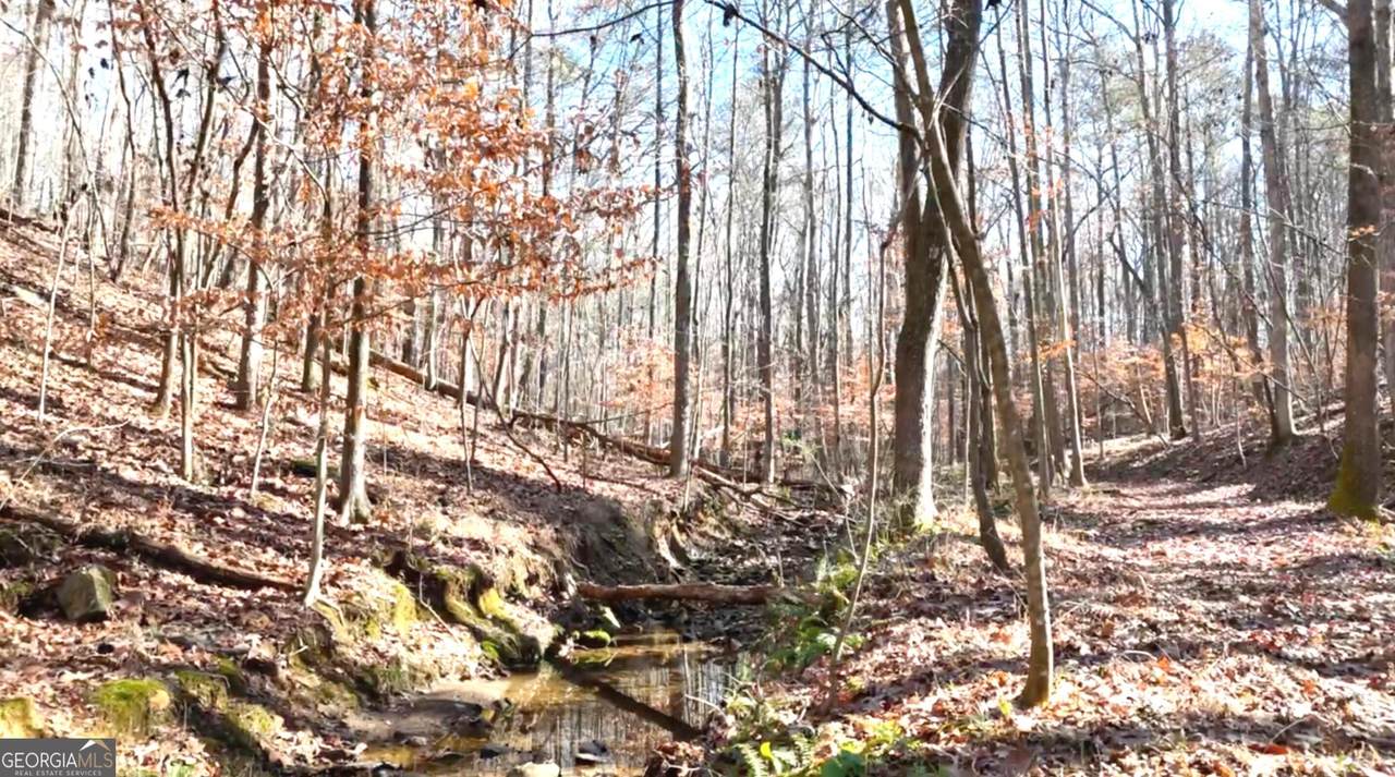 6147 Little Ridge Road - Photo 1