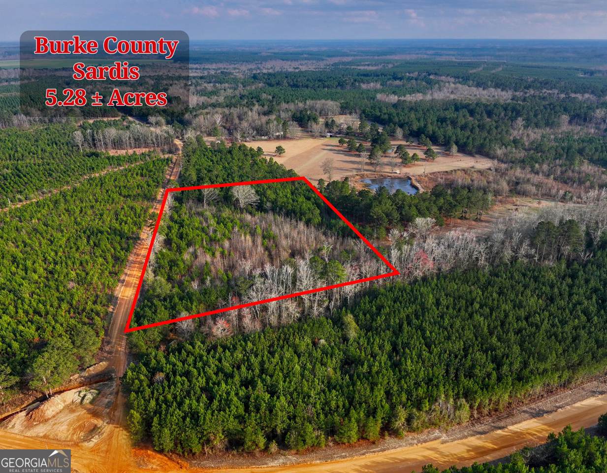 54+/- ACRES Joyner Oglesby Road - Photo 1