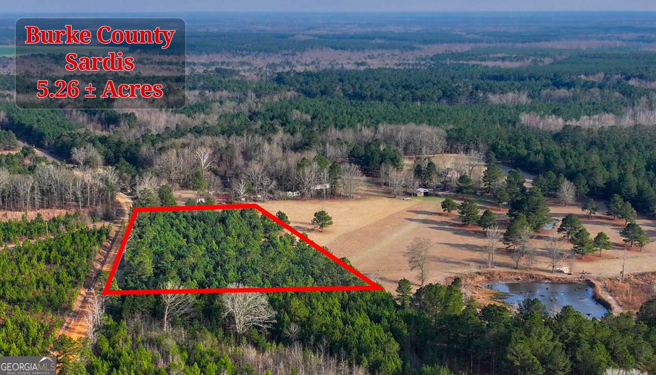 5.26+/- ACRES Joyner Oglesby Road - Photo 1