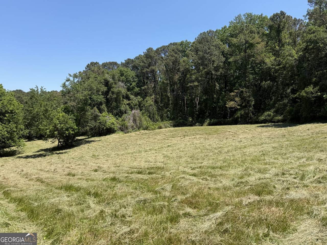 565B Avery Road - Photo 1