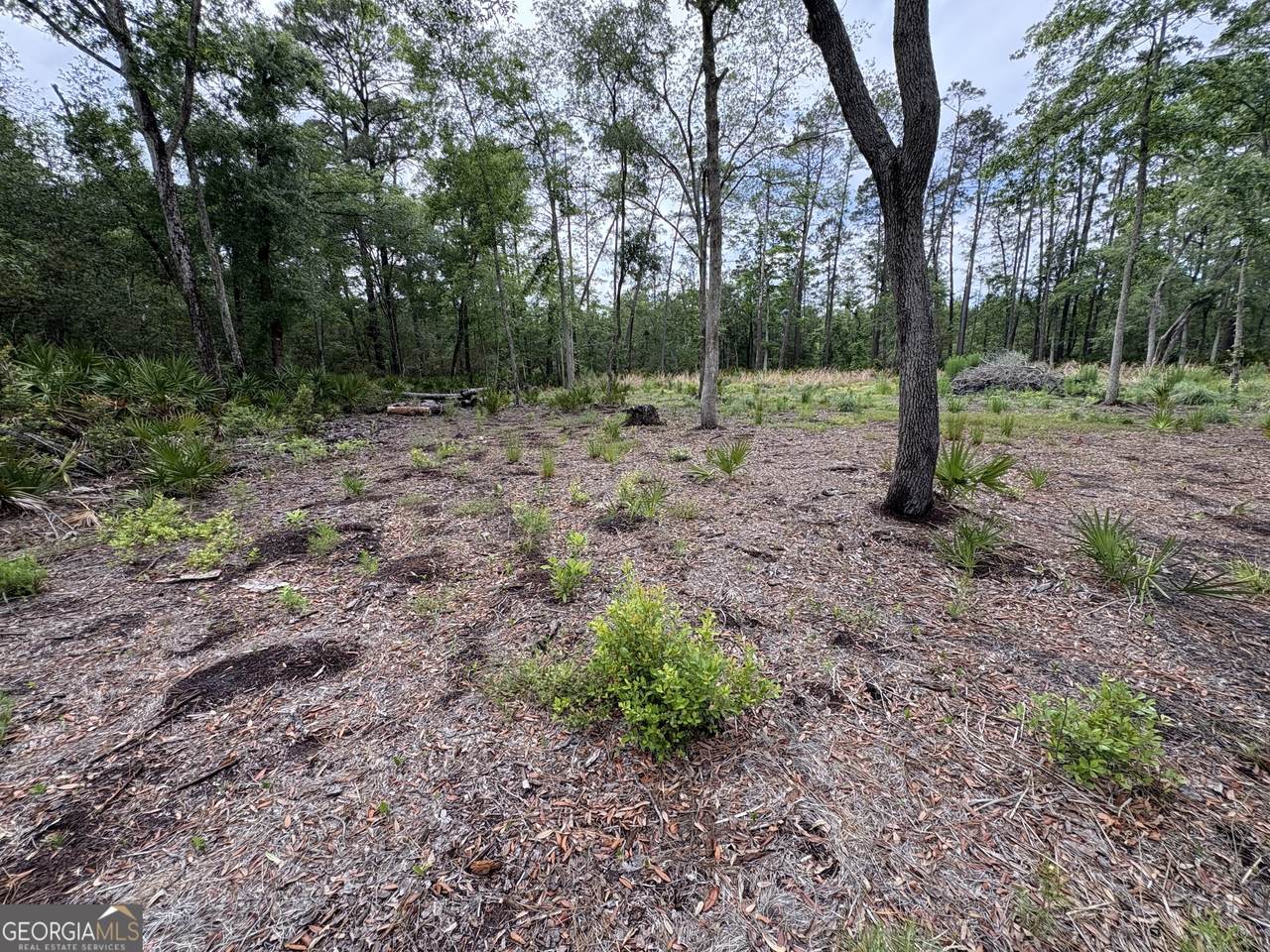 0 Piney Bluff Lot 5 Road - Photo 1