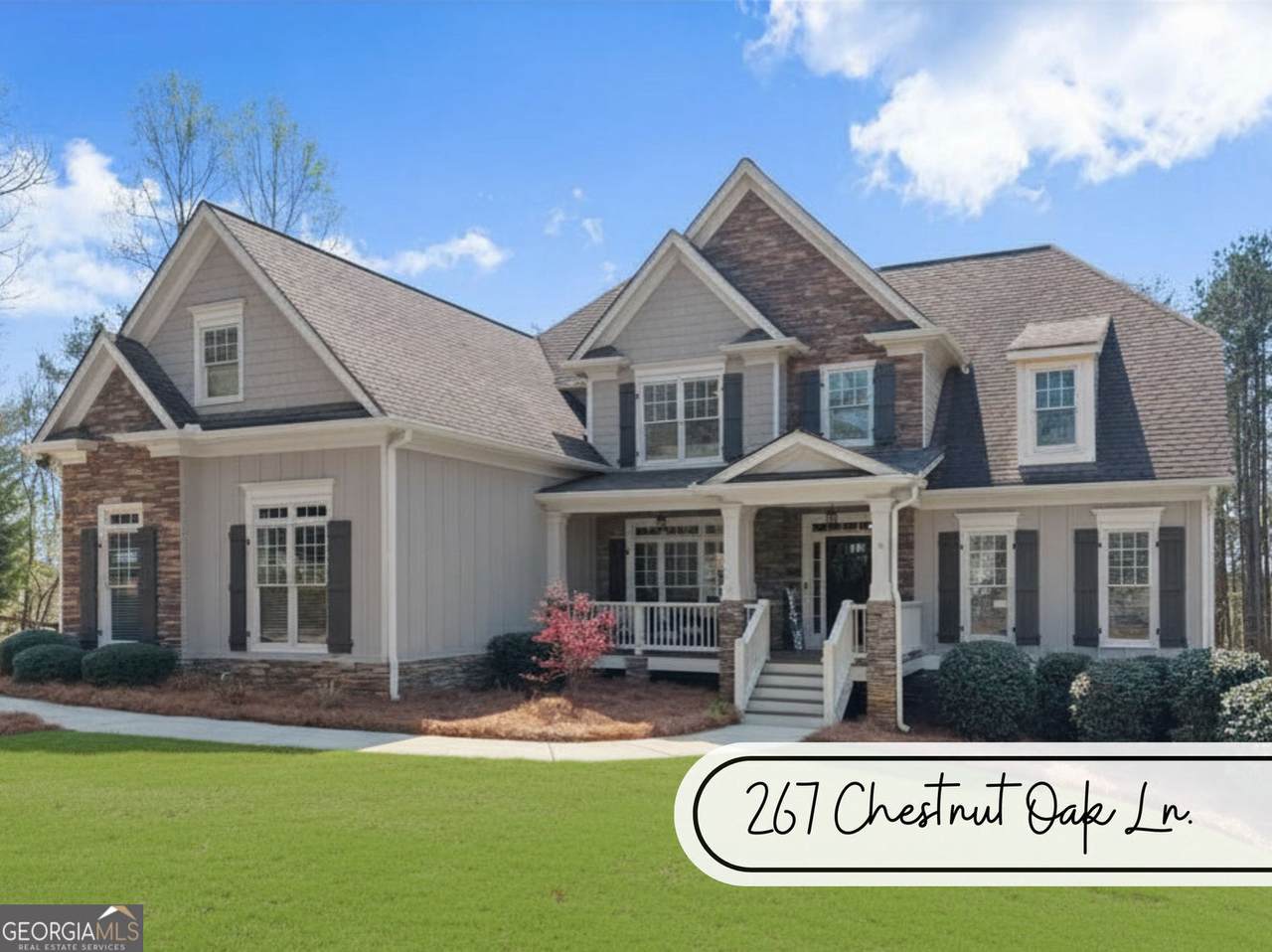 267 Chestnut Oak Lane - Photo 1