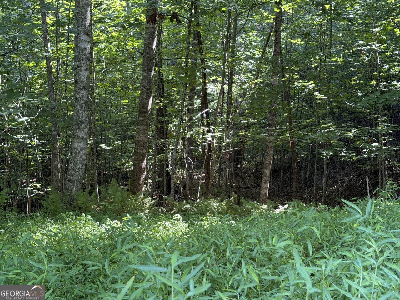 https://bt-photos.global.ssl.fastly.net/gamls/1280_boomver_2_10819557-2.jpg