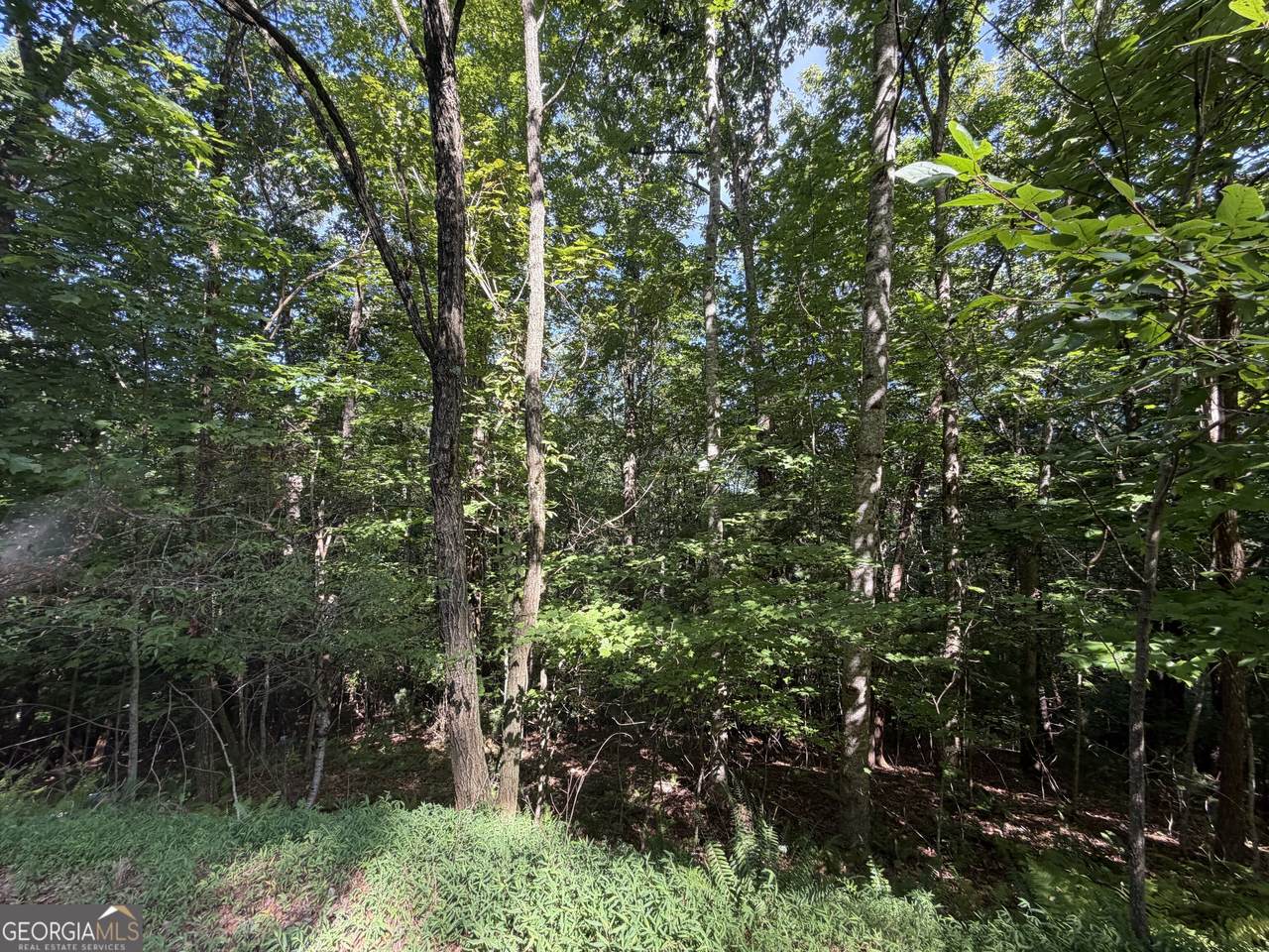 https://bt-photos.global.ssl.fastly.net/gamls/1280_boomver_2_10819557-2.jpg