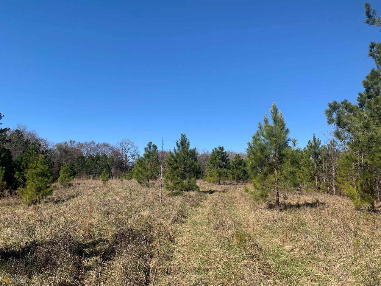 2570 Old Union Point Road - Photo 1