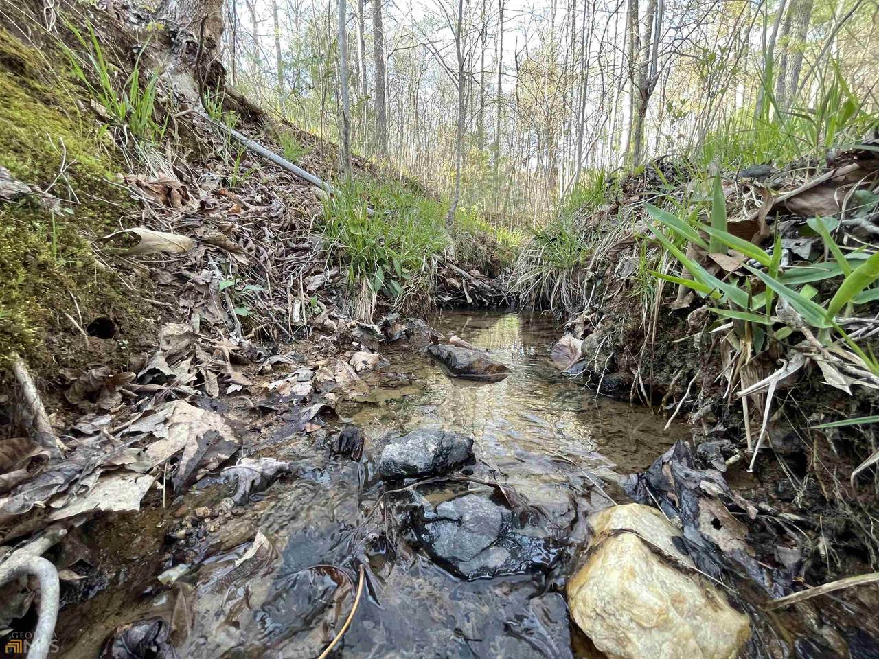 1.94AC Meadow Brook Trail - Photo 1
