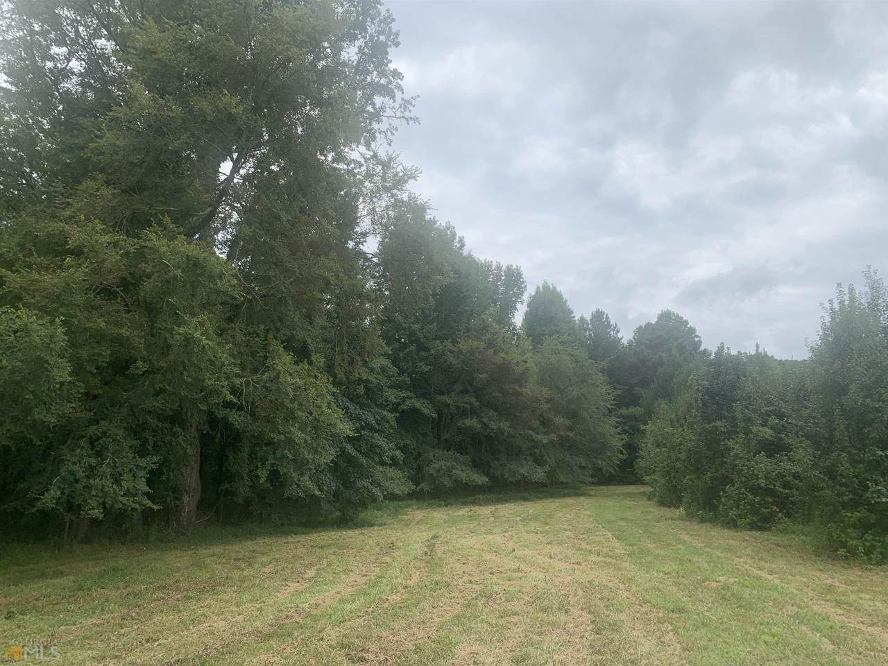 7 AC Massengale Road - Photo 1