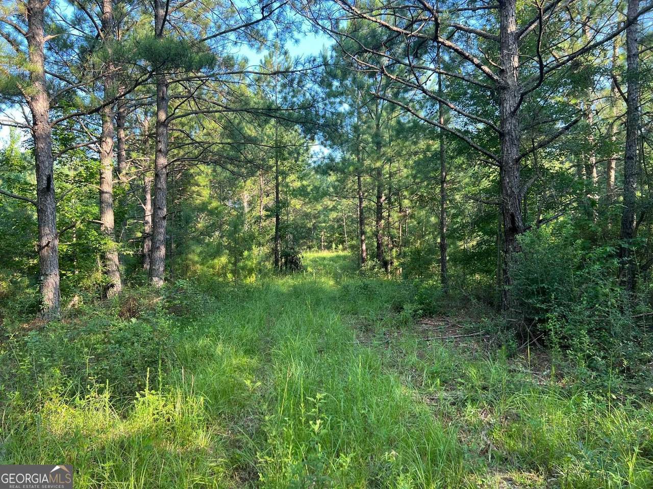 0 53 Highway - Photo 1
