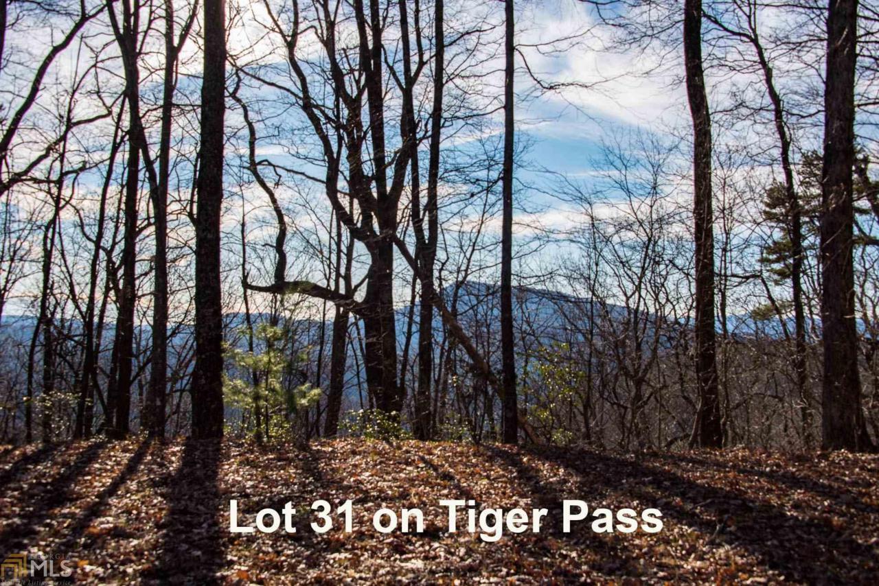 0 Tiger Pass - Photo 1