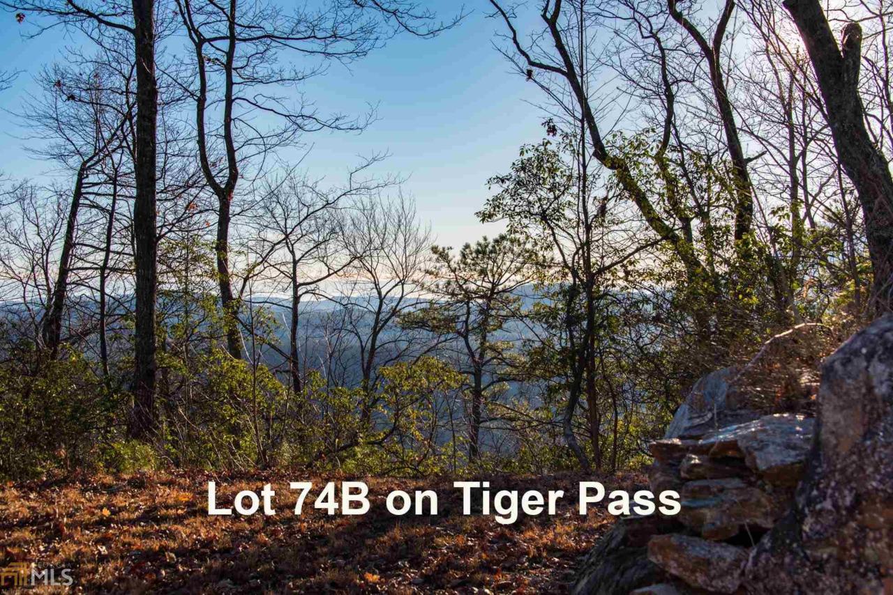 0 Tiger Pass - Photo 1