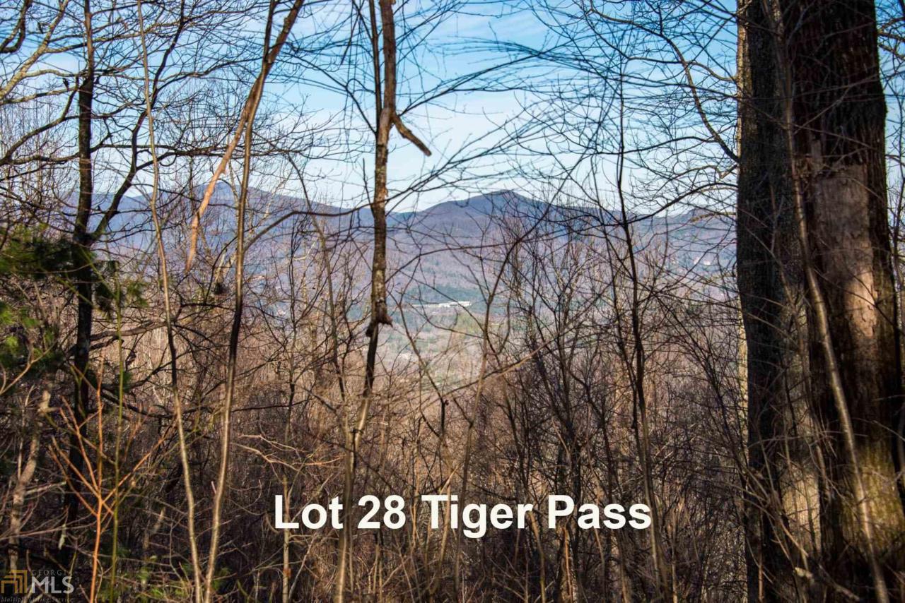 0 Tiger Pass - Photo 1