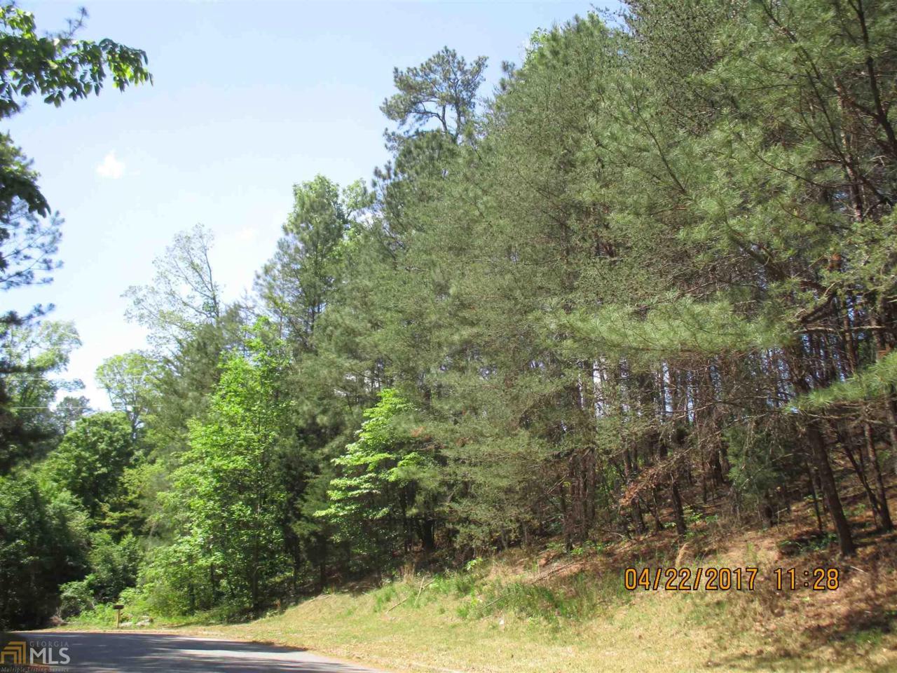 1612 Mountain Shadow Trl - Photo 1