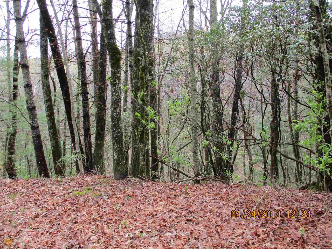 0 Rebel Circle (Midwoods 4 Pt 1) - Photo 1