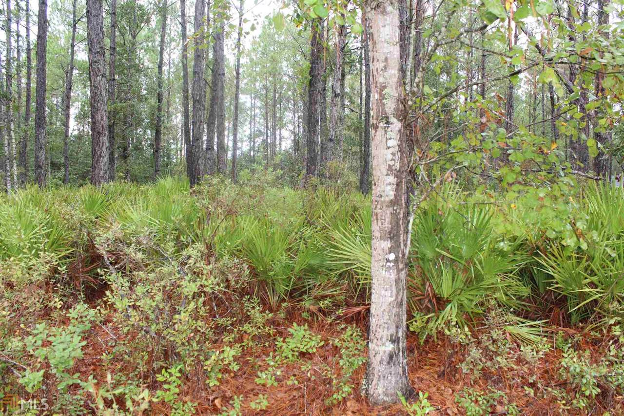 0 Ossabaw Way - Photo 1