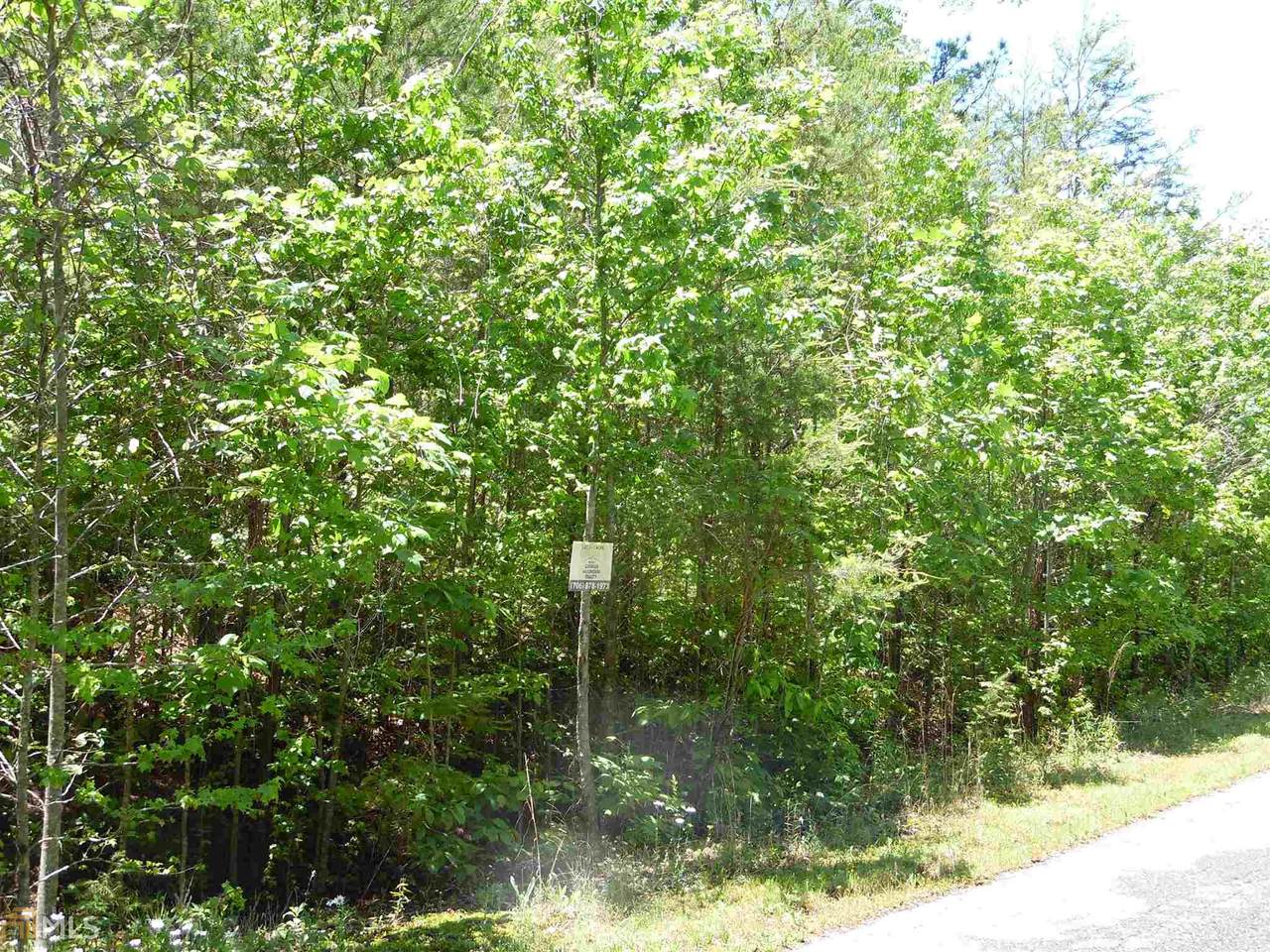 0 Unicoi Hills Trl - Photo 1
