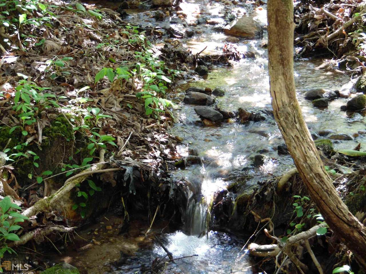 0 Unicoi Hills Trl - Photo 1