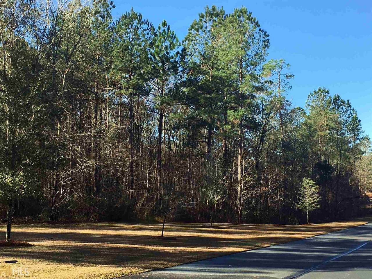 1234 Plantation Cir - Photo 1