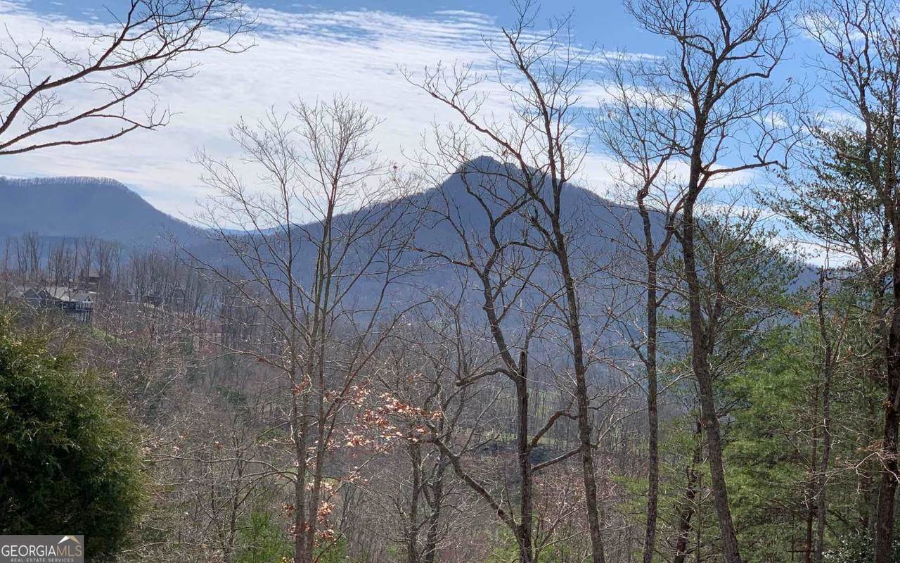 LOT 42 Dan Knob - Photo 1