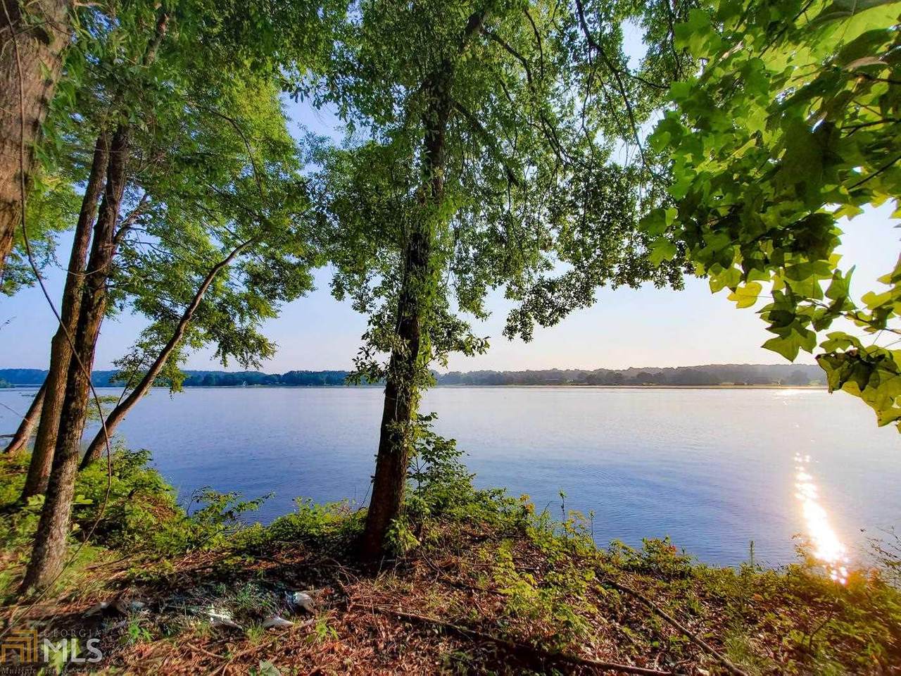 1110 Dockside Dr - Photo 1