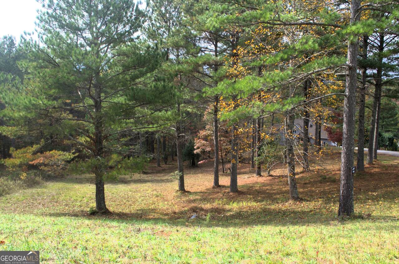 LOT 40 Pinehurst - Photo 1