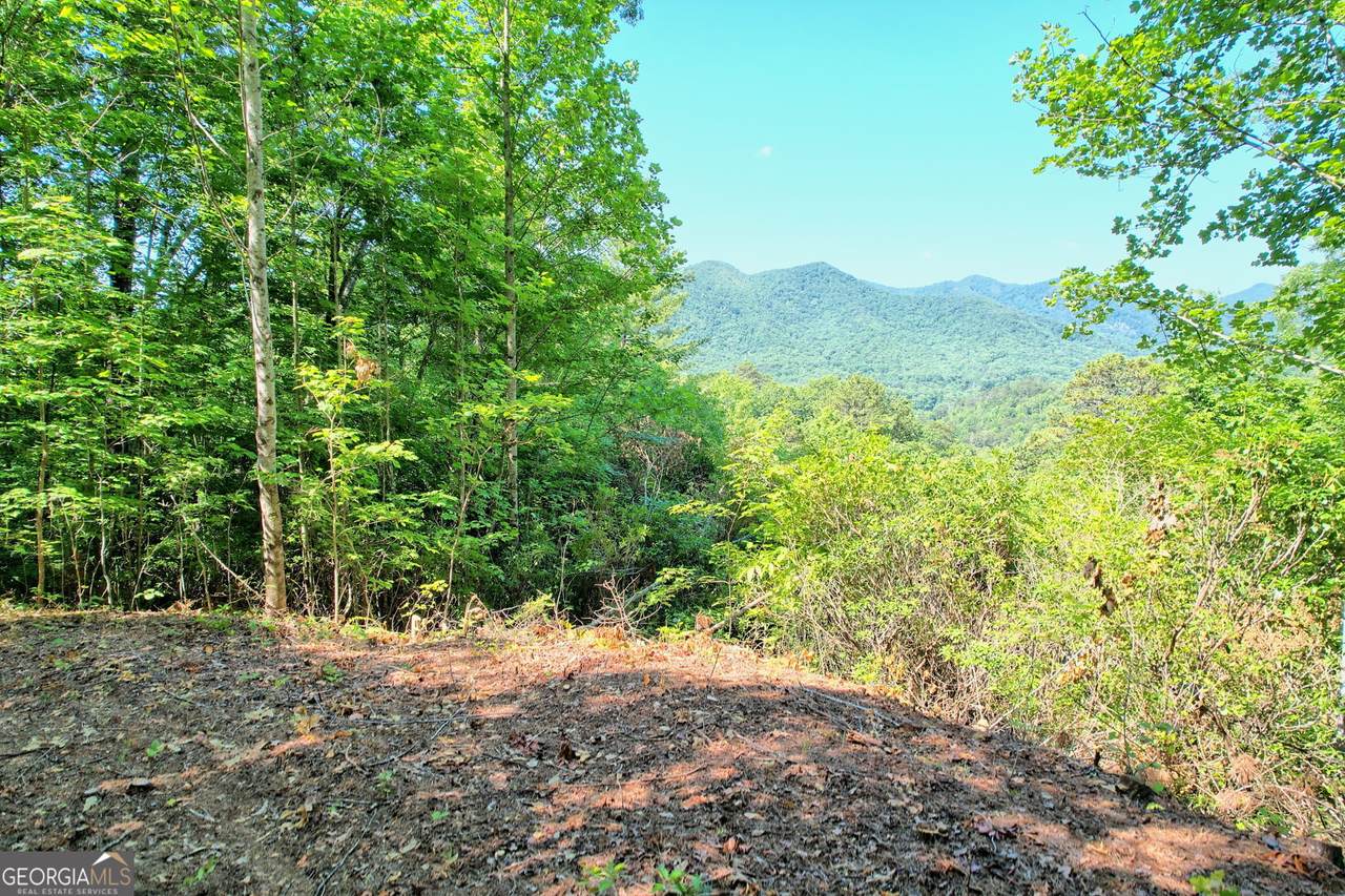 0 Raven Fork Trail - Photo 1