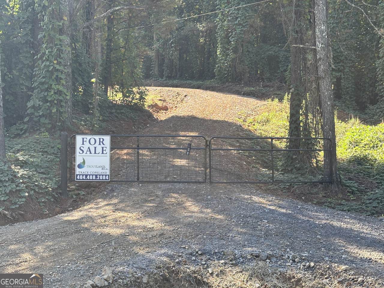 3 WEST Dry Pond Road - Photo 1