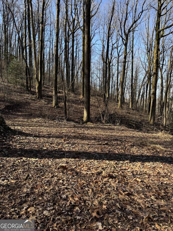 6180 Burnt Mountain Road - Photo 1