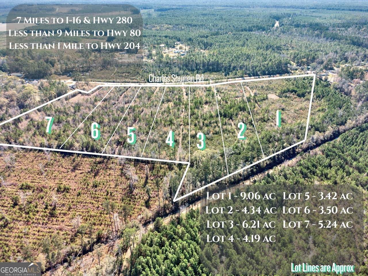 LOT 4 Charles Shuman Road - Photo 1