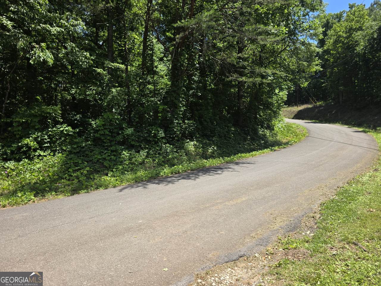 0 Cowart Mountain Tract 1 Road - Photo 1