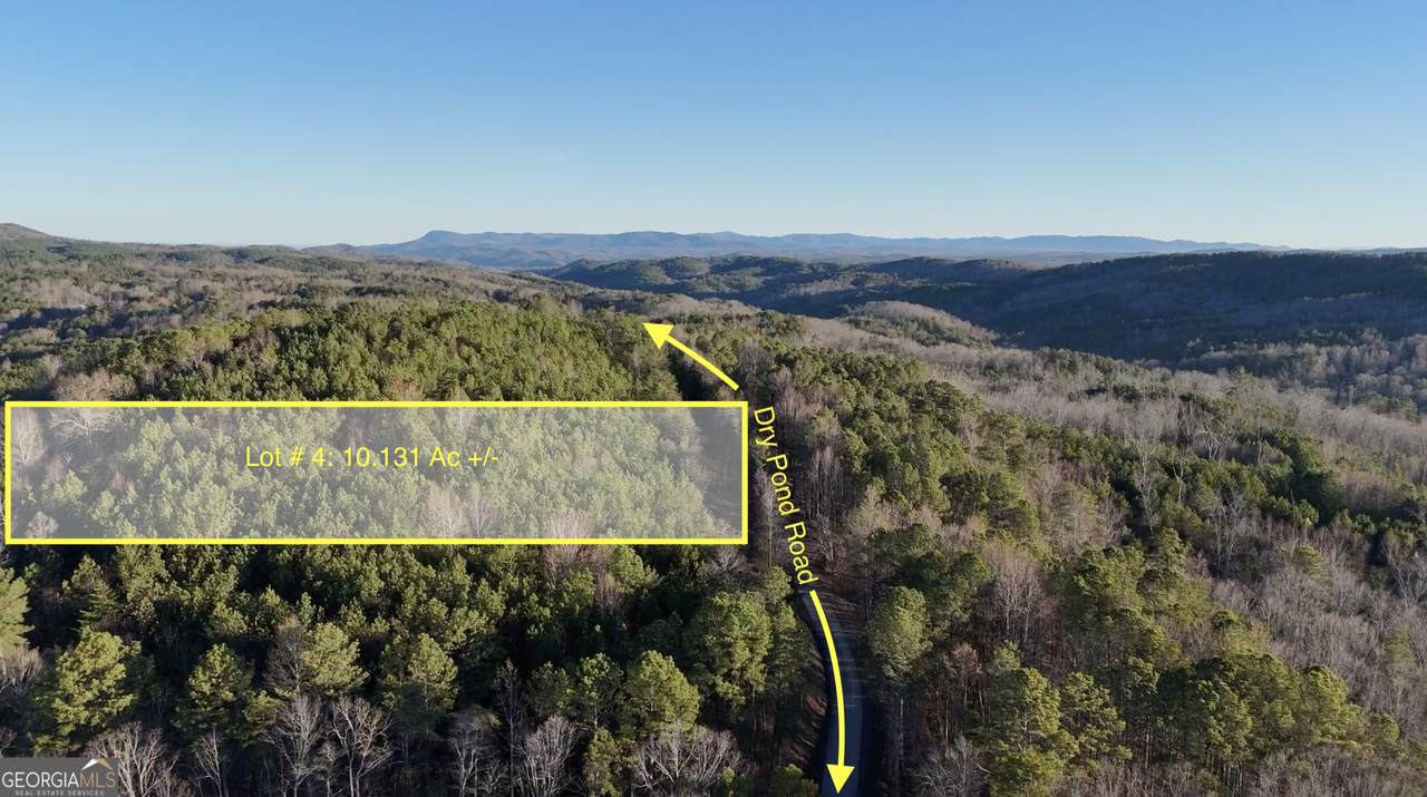 4 WEST Dry Pond Road - Photo 1