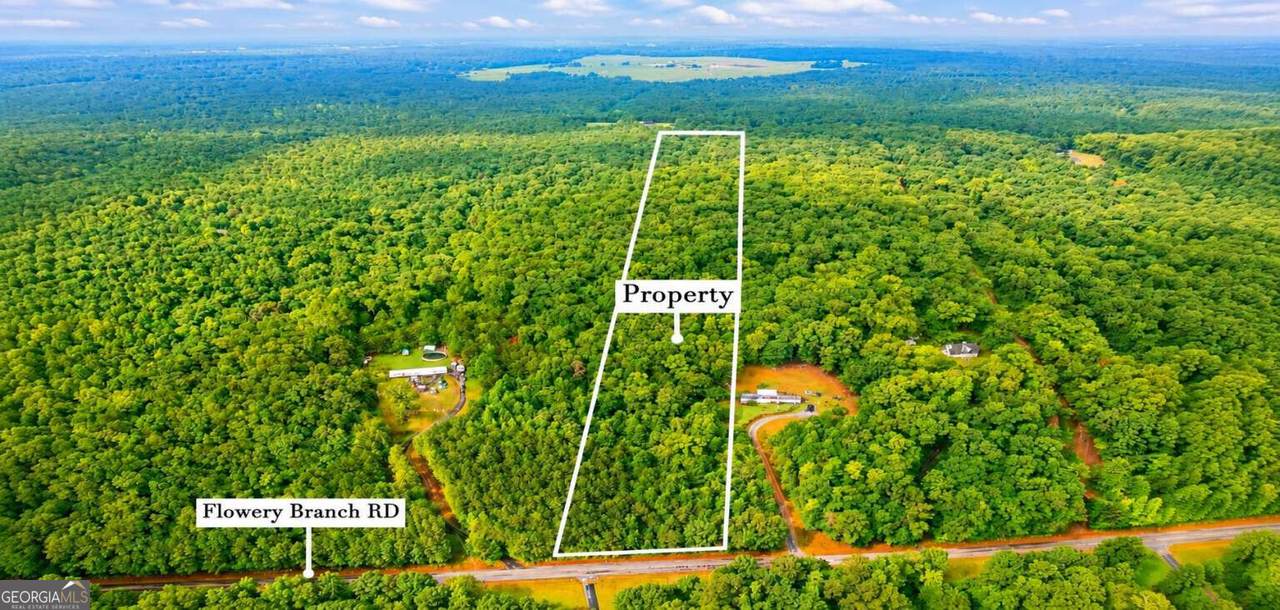 LOT 1 Flowery Branch Road - Photo 1
