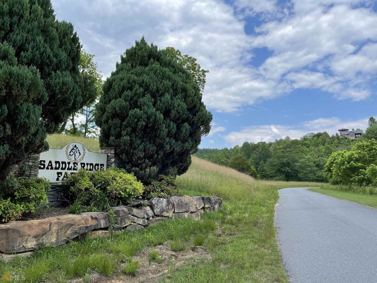 14-B Saddle Ridge Farms - Photo 1