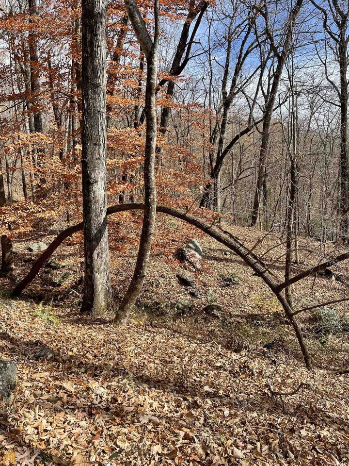 0 Black Rock Estates - Photo 1