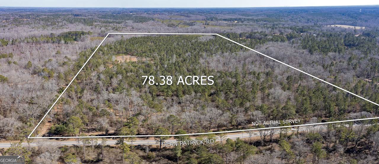 0 Dean Patrick Road - Photo 1