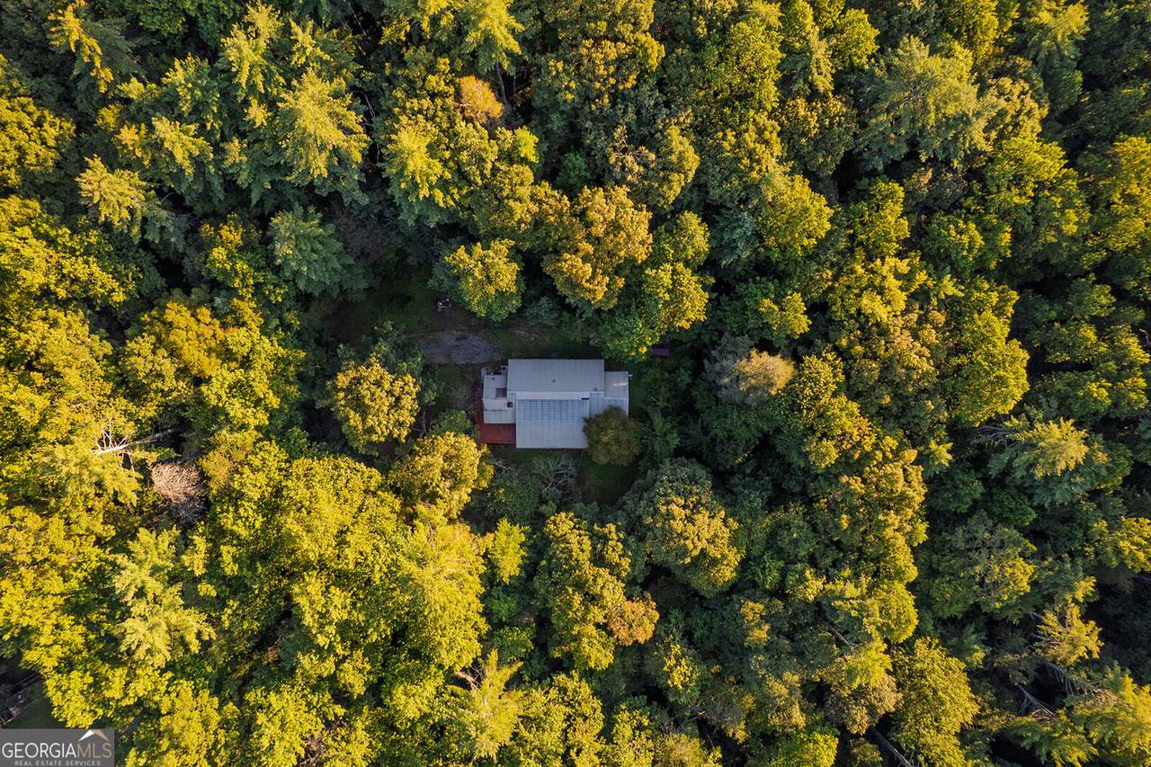 10950 Chatsworth Highway - Photo 1