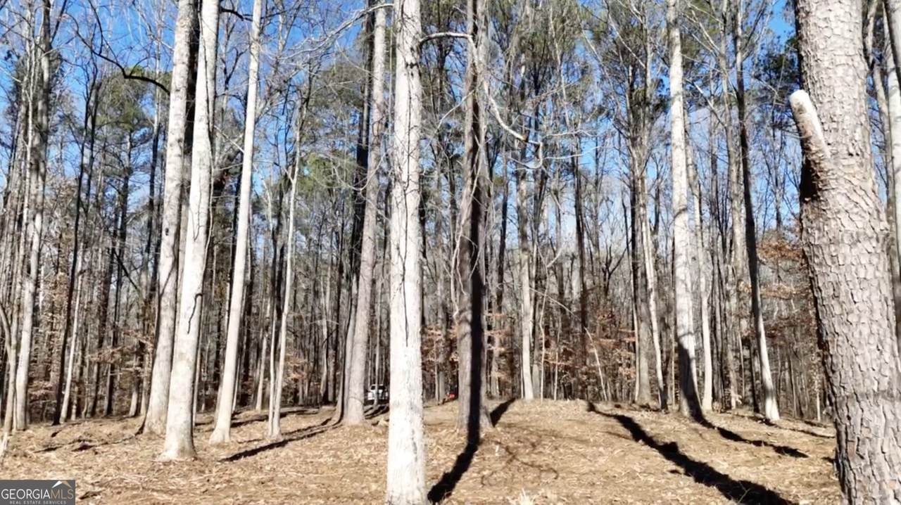 6155 (LOT #1) Little Ridge Road - Photo 1