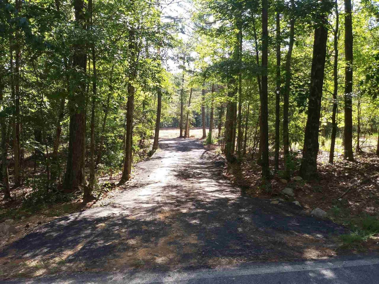 497 Flat Creek Trl - Photo 1