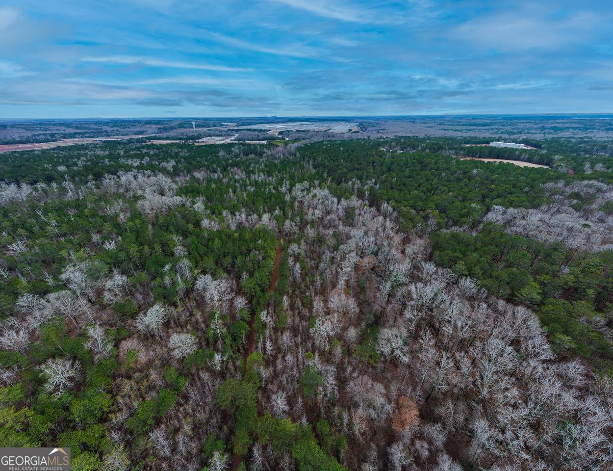 0 Sandtown Road - Photo 1