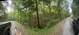 725 Anderson Lane - Photo 2
