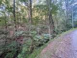 725 Anderson Lane - Photo 3