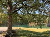 595 Ocelot Trail - Photo 15