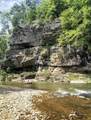 595 Ocelot Trail - Photo 8
