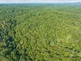 366 Mossy Creek Lane - Photo 16