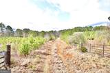 1815 Ola Road - Photo 15