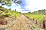 1815 Ola Road - Photo 16