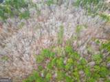 295 Digby Road - Photo 6